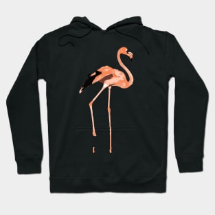 Flamingo Hoodie